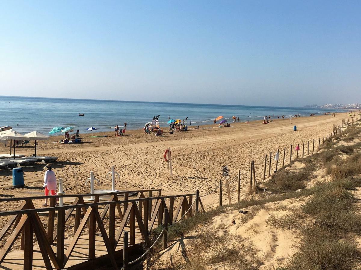 Oasis Beach X - 49 Guardamar del Segura Dış mekan fotoğraf